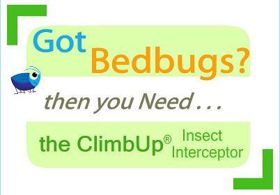 Got Bedbugs - CLIMBUP